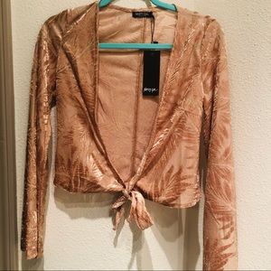 Nasty Gal Rose Gold Velvet Top